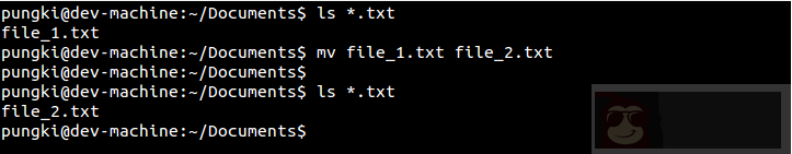 Linux -mv 命令的 10 个实用例子