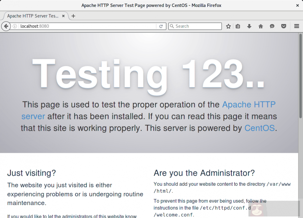 用 Ansible 来交付 Vagrant 实例