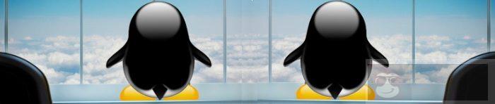 IT 运行在云端，而云运行在 Linux 上