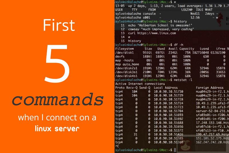 请记住!首先要运行这 5 个命令。 请记住!首先要运行这 5 个命令。