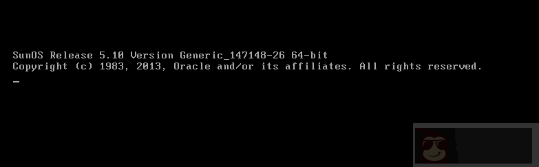 在 VMware 上面安装 Solaris 10 在 VMware 上面安装 Solaris 10