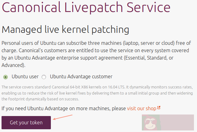 Livepatch —— 免重启给 Ubuntu Linux 内核打关键性安全补丁