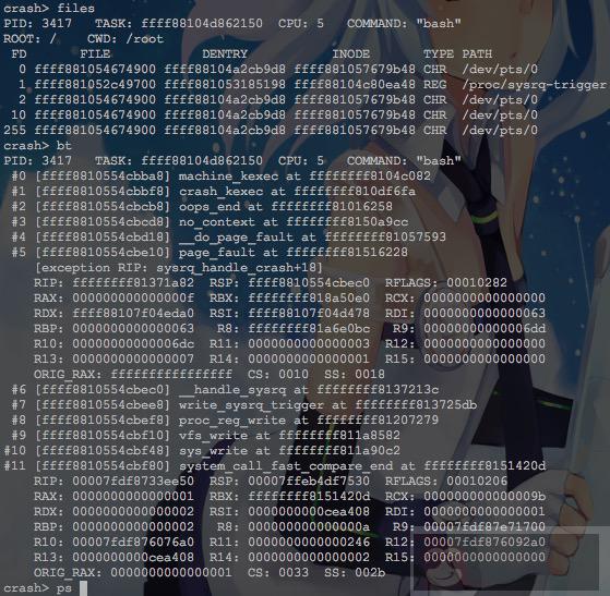 教你如何捕捉内核崩溃信息 教你如何捕捉内核崩溃信息