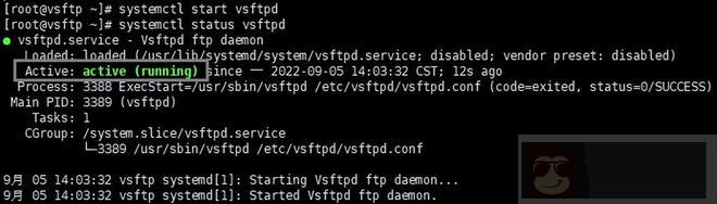 简述 FTP 部署以及虚拟用户模式的认证