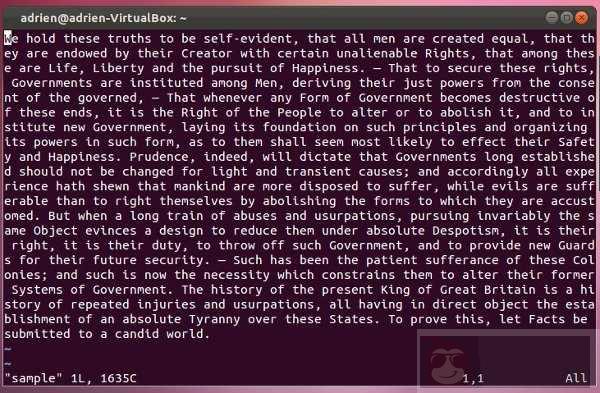 Vim 文本编辑器 入门指南