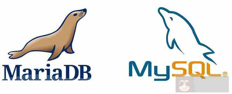 docker 构建 Mariadb 数据库