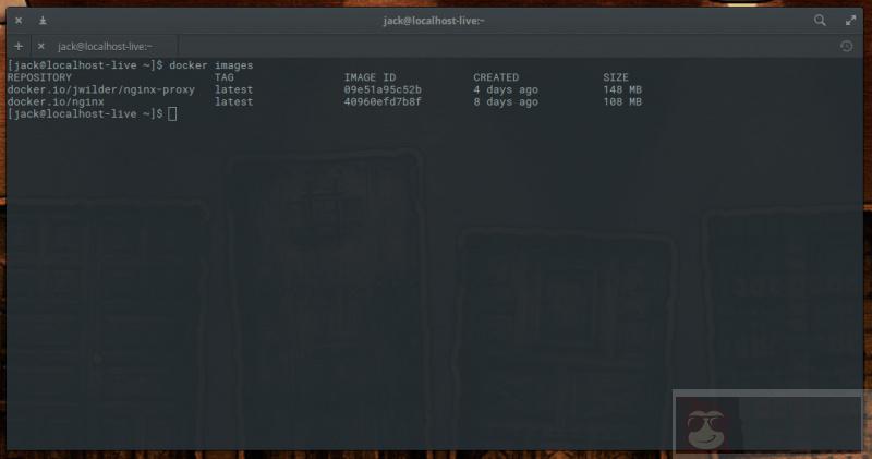大神教你在 Linux 上安装和使用 Docker