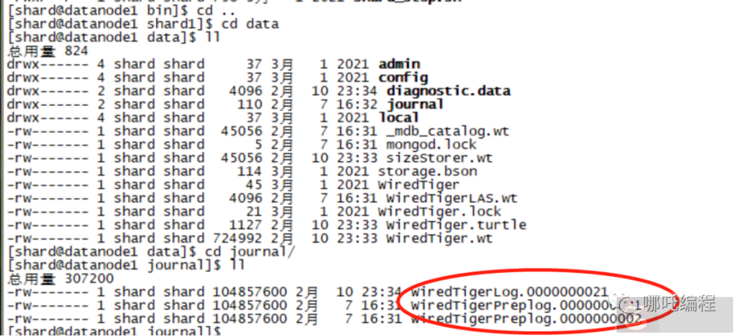如何监控 MongoDB 数据库性能 如何监控 MongoDB 数据库性能