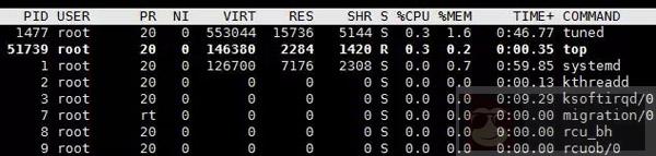 常用 Linux 进程及作业管理命令
