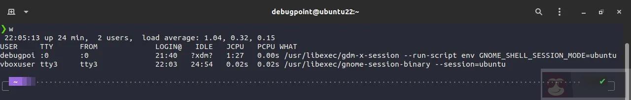 w 命令的解释与示例