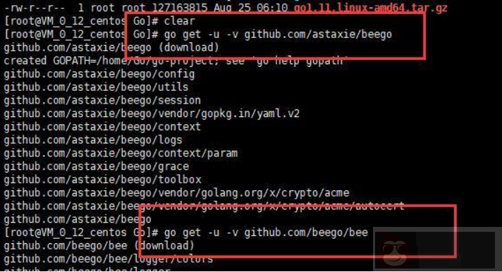 Centos7.5 安装 Golang、Beego 框架，部署测试一次性搞定