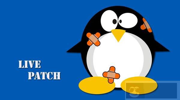 Livepatch —— 免重启给 Ubuntu Linux 内核打关键性安全补丁