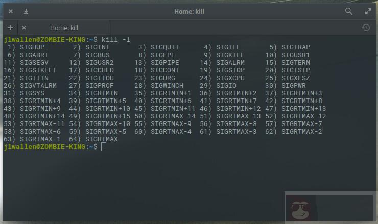 如何从命令行杀死一个进程