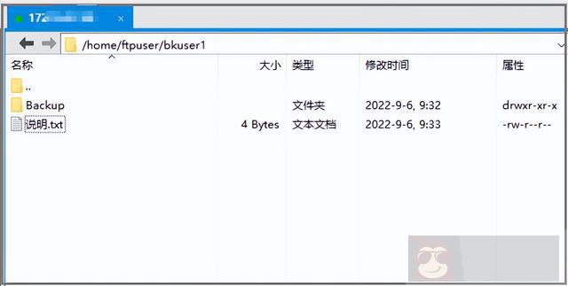 简述 FTP 部署以及虚拟用户模式的认证