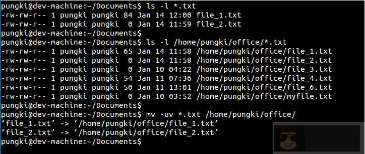 Linux -mv 命令的 10 个实用例子