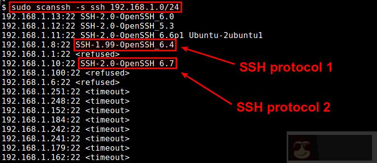 如何在 Linux 上检查 SSH 的版本