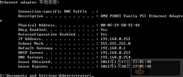 单区域内 DHCP 安装