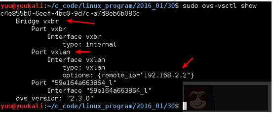 Docker+OpenvSwitch 走进 VxLAN 的世界 Docker+OpenvSwitch 走进 VxLAN 的世界