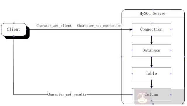 如何解决 MySQL 字符集乱码问题