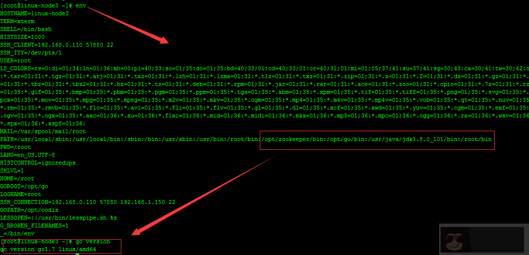 实战 Centos 系统部署 Codis 集群服务