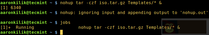 如何在后台运行 Linux 命令并且将进程脱离终端