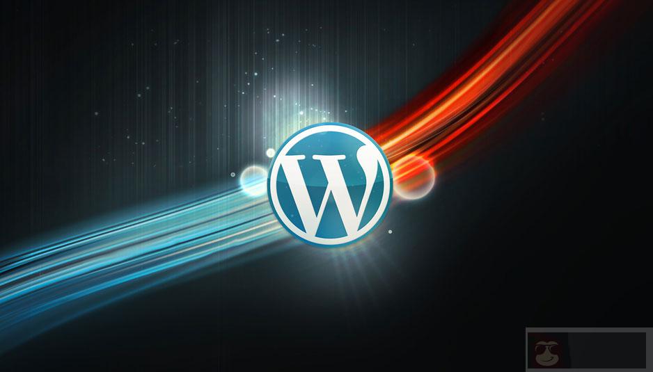 如何使用 WPSeku 找出 WordPress 安全问题? 如何使用 WPSeku 找出 WordPress 安全问题?