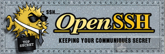 如何在 Linux 上检查 SSH 的版本