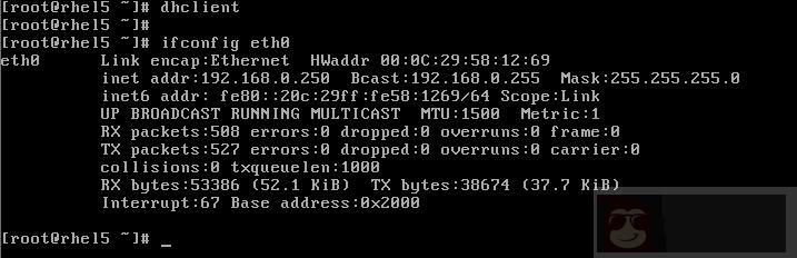 单区域内 DHCP 安装