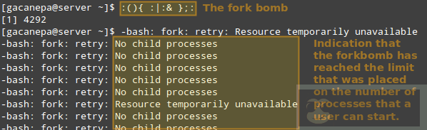 如何灵活运用 Linux 进程资源监控和进程限制