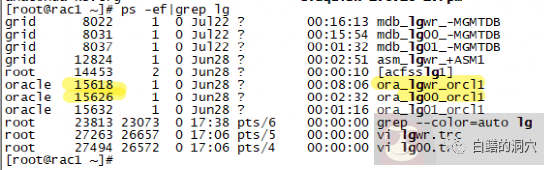 以 Lgwr Worker 为例, 基于 Strace 分析 Oracle 数据库行为的方法 以 Lgwr Worker 为例, 基于 Strace 分析 Oracle 数据库行为的方法