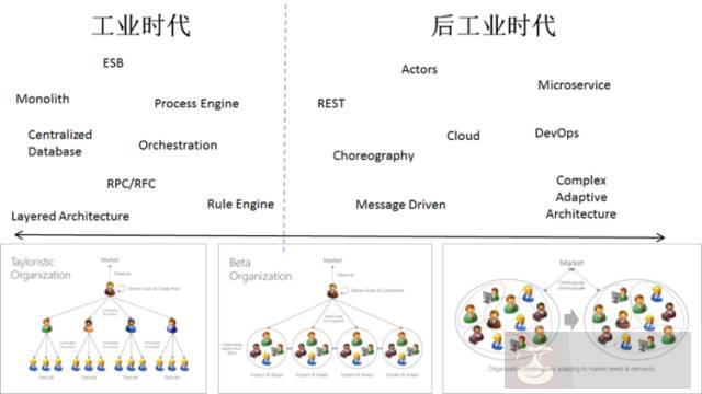 企业的组织架构对技术架构的影响