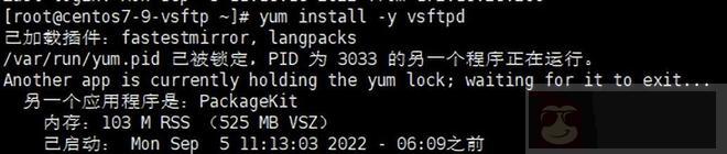 简述 FTP 部署以及虚拟用户模式的认证