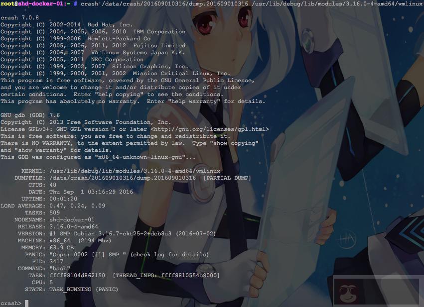 教你如何捕捉内核崩溃信息 教你如何捕捉内核崩溃信息