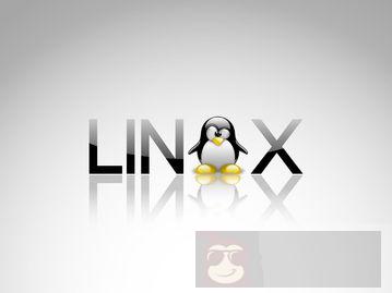 Linux 下使用 TCP 封装器来加强网络服务安全的技巧 Linux 下使用 TCP 封装器来加强网络服务安全的技巧