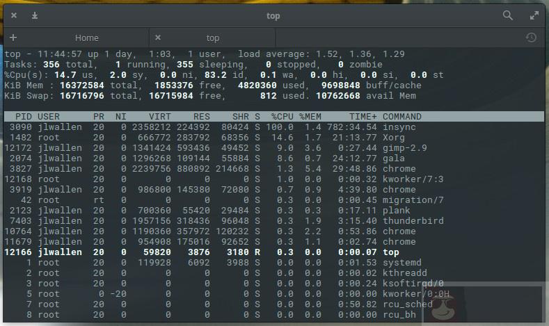 如何从命令行杀死一个进程