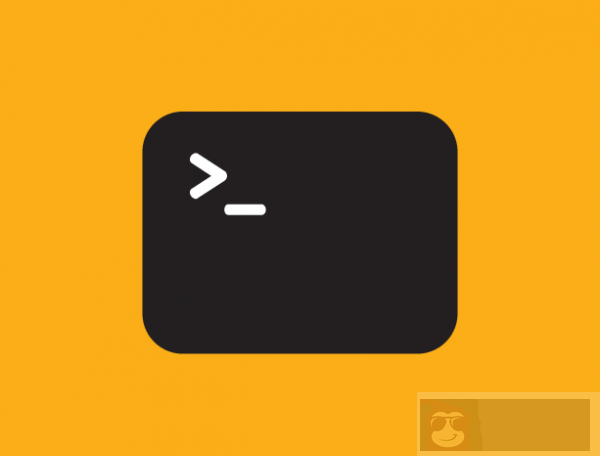如何在 Kali Linux 上安装 SSH 服务