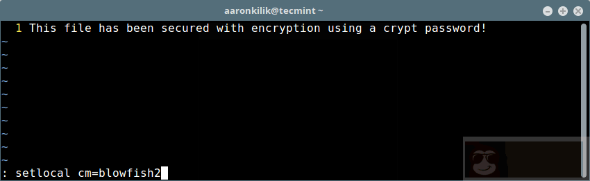 使用 Vim 给文件设置密码保护 使用 Vim 给文件设置密码保护
