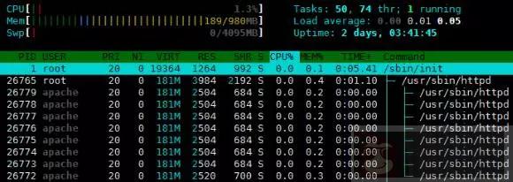 常用 Linux 进程及作业管理命令