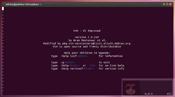 Vim 文本编辑器 入门指南