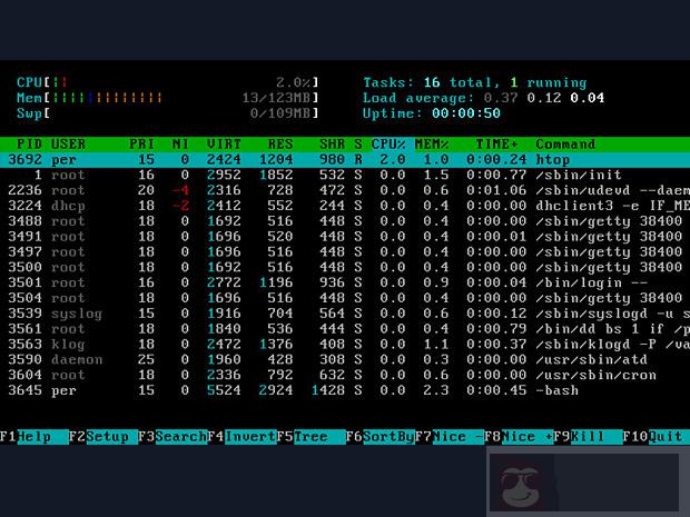 掌握 shell 应用，Linux 任你行走！