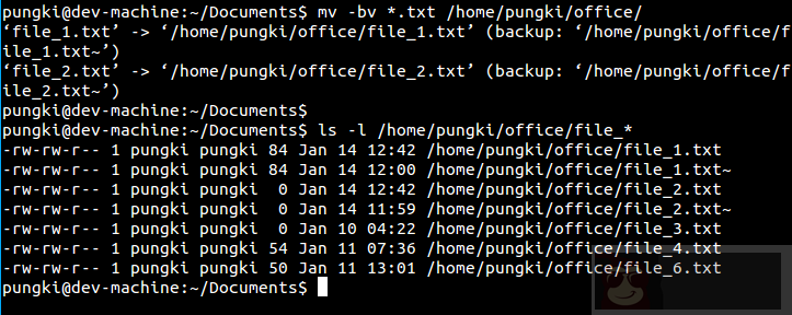 Linux -mv 命令的 10 个实用例子