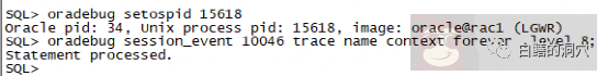 以 Lgwr Worker 为例, 基于 Strace 分析 Oracle 数据库行为的方法 以 Lgwr Worker 为例, 基于 Strace 分析 Oracle 数据库行为的方法