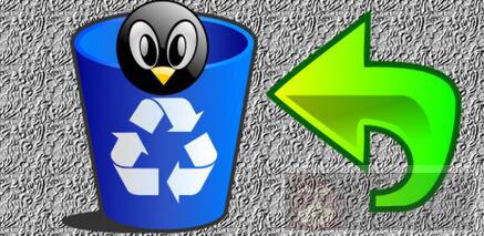 怎样在 Linux 系统中恢复被删除文件 怎样在 Linux 系统中恢复被删除文件