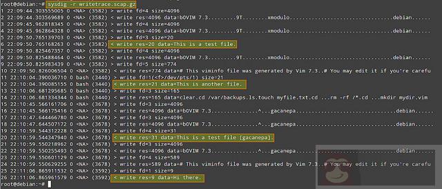 Linux 服务器监控和排障利器 -sysdig