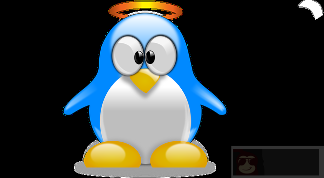 Unix 和 Linux 操作系统的差异