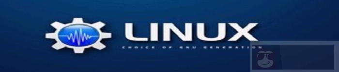 分享一条 history 命令小技巧