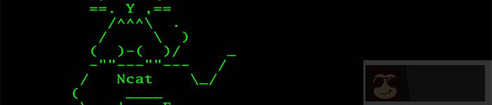 ncat 几个常用例子