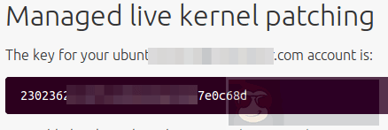 Livepatch —— 免重启给 Ubuntu Linux 内核打关键性安全补丁