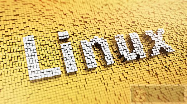 Linux 中的 history 命令中如何启用时间戳