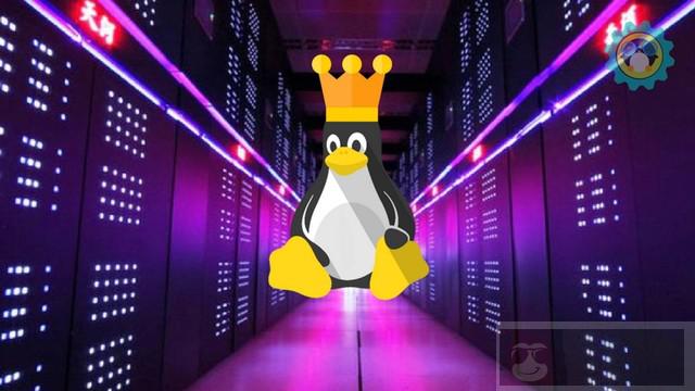 cURL 与 wget：到底哪一个才更适合你